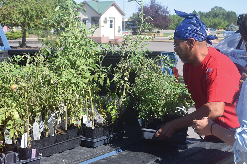Camelot Gardens donates produce